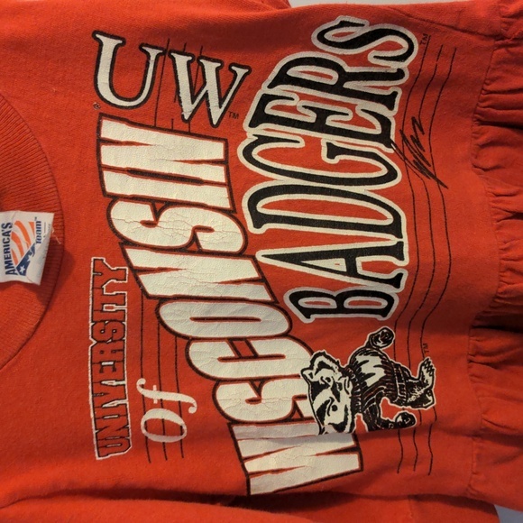 🤗 Wisconsin Badgers Dress 🤗 - Picture 2 of 5